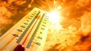 Необичайно топлата 2023 г. озадачава учени