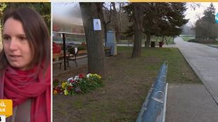 След убийството в парка: Стотици добричлии отново излизат на протест